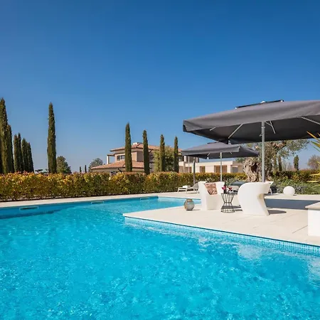 Old Olive I - Heated Pool - By Vivi Rent Vila